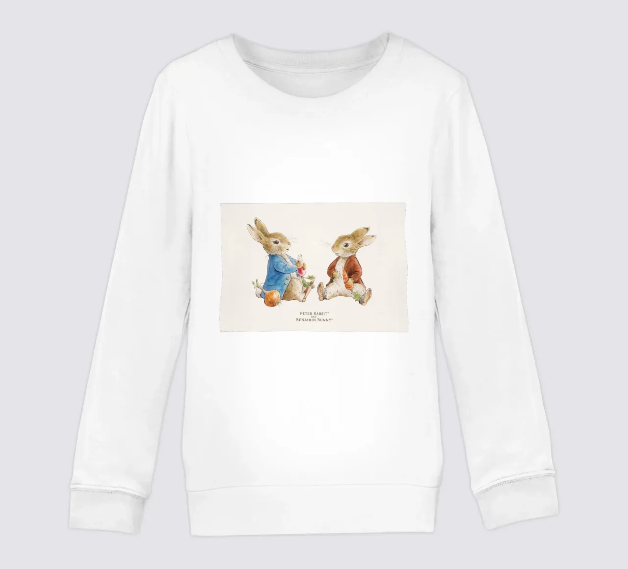 Illustrazione di Peter Rabbit felpa bambino da muench benjamin