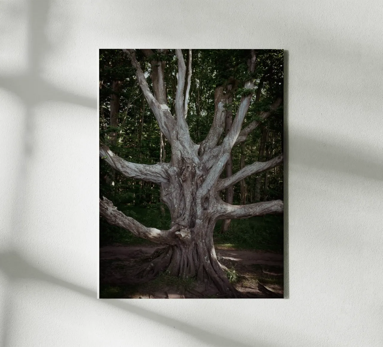 Porta d'accesso all'altro mondo tela con Cornice a cassetta da Janine Sommer Fotografie