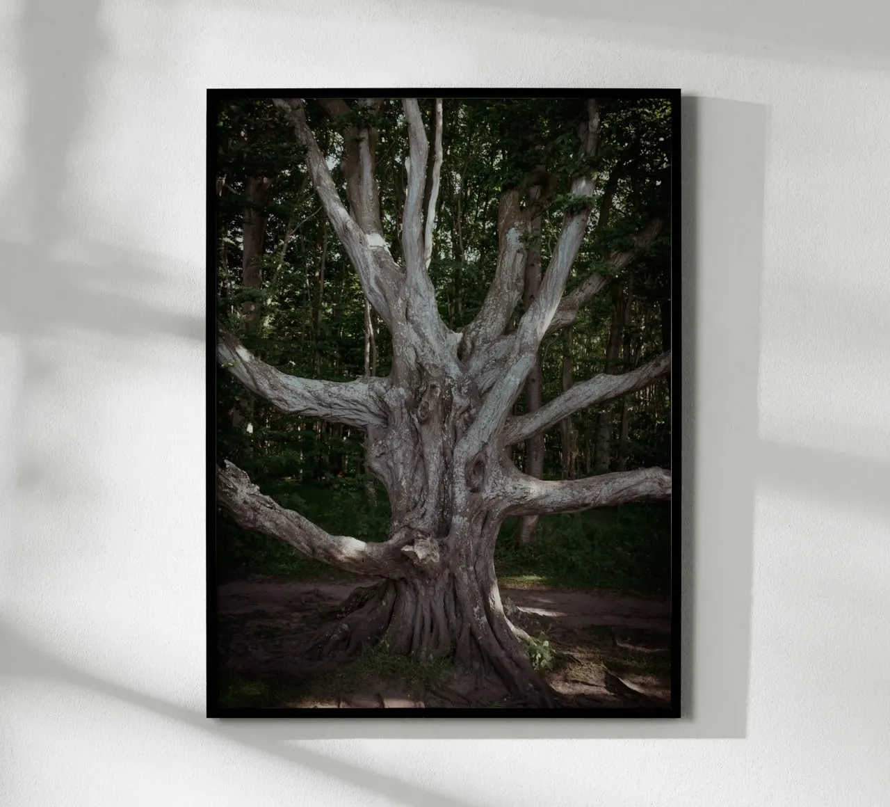 Porta d'accesso all'altro mondo poster con telaio in legno da Janine Sommer Fotografie