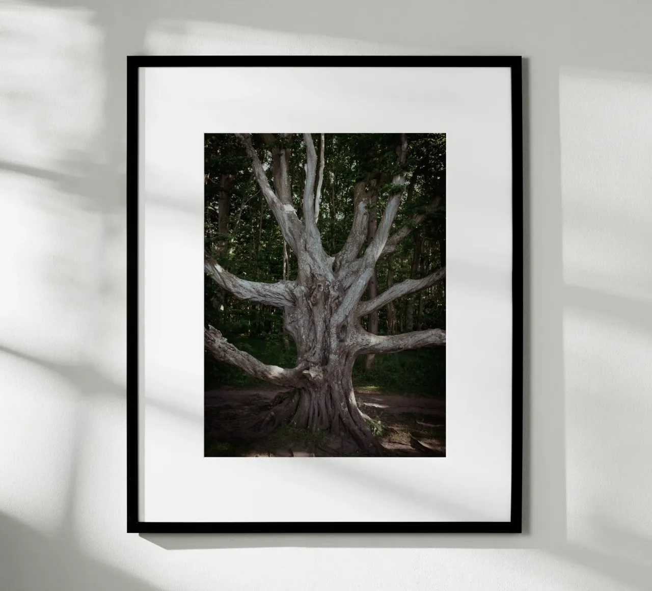 Porta d'accesso all'altro mondo poster con telaio in legno da Janine Sommer Fotografie