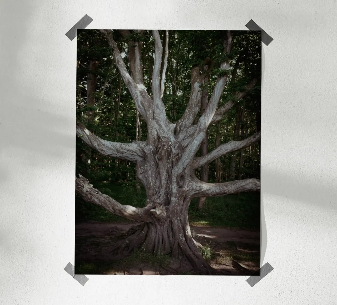 Porta d'accesso all'altro mondo poster con telaio in legno da Janine Sommer Fotografie