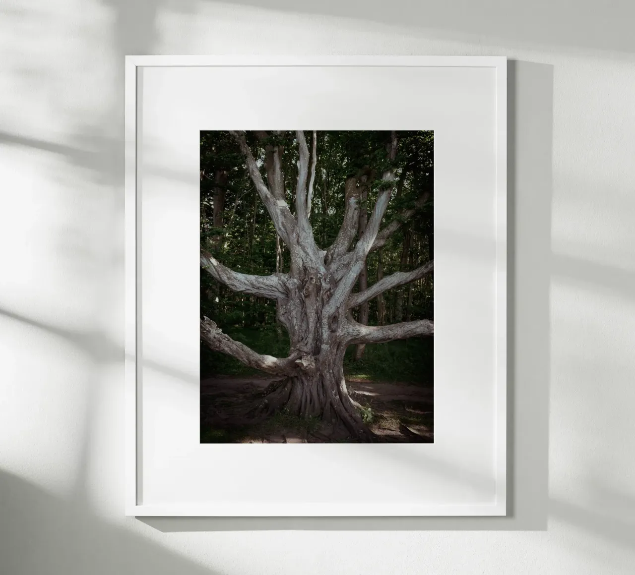 Porta d'accesso all'altro mondo poster con telaio in legno da Janine Sommer Fotografie