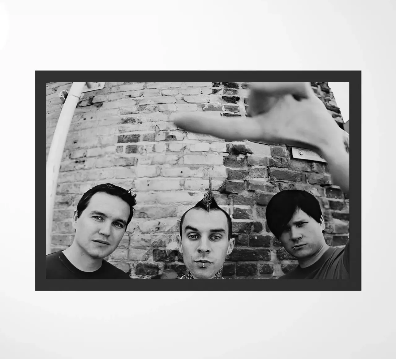 Blink 182 zerbino da Musadad Shop