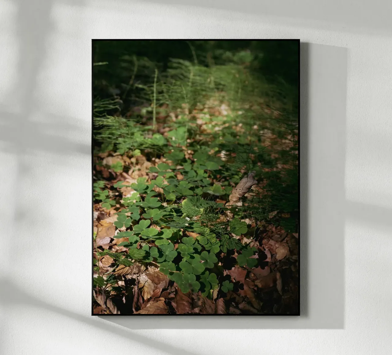 Fondo della foresta plexiglass da Janine Sommer Fotografie