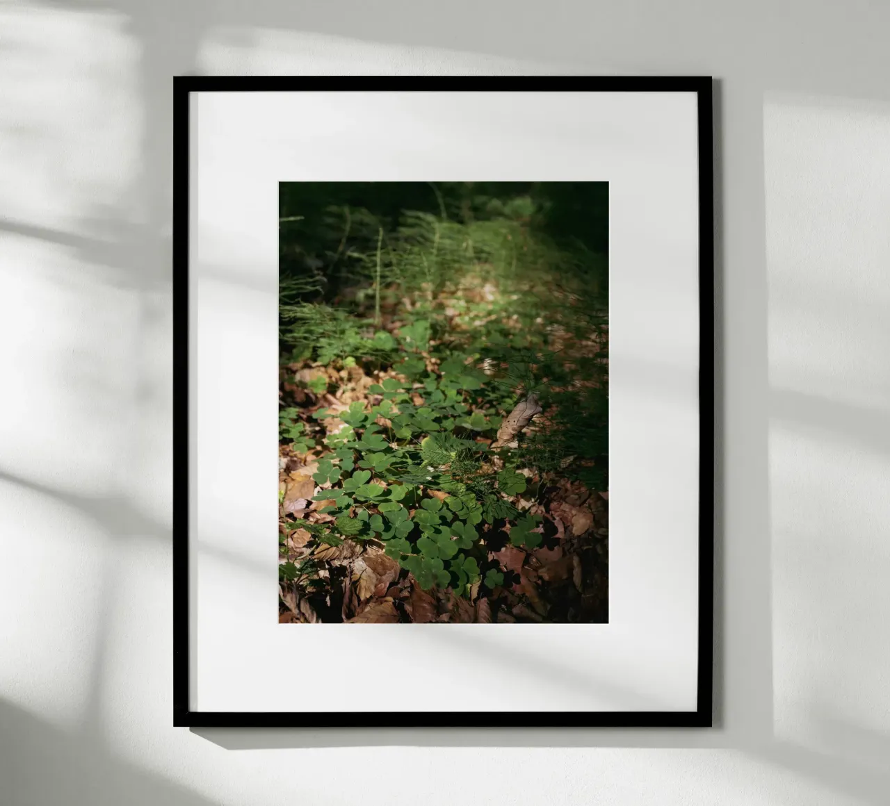 Fondo della foresta poster da Janine Sommer Fotografie