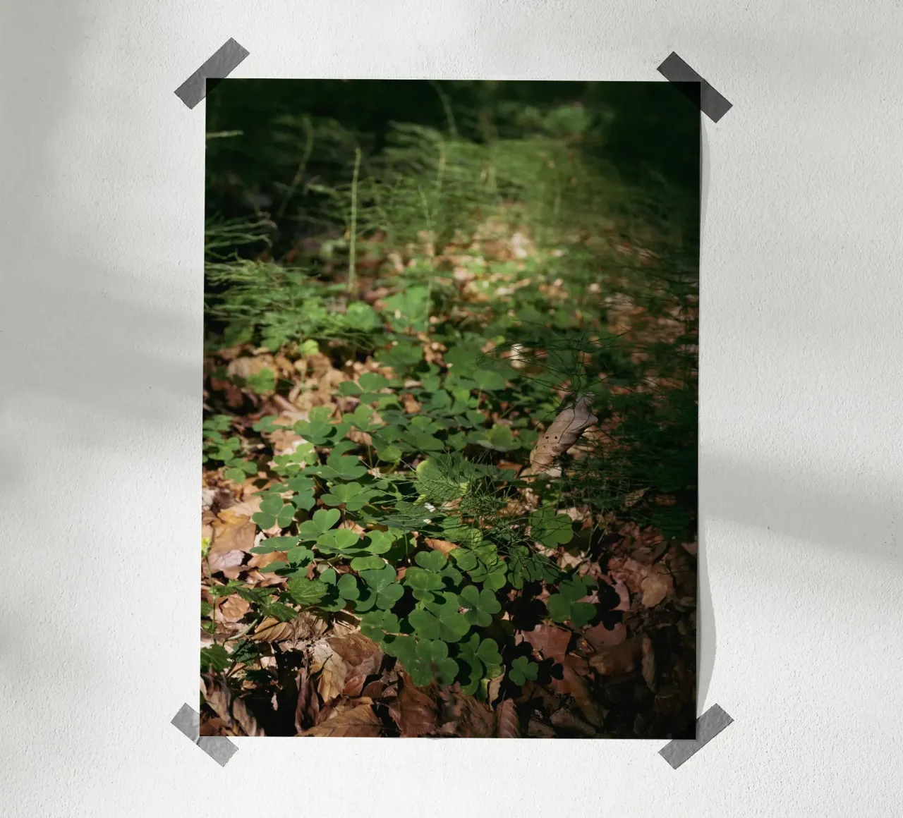 Fondo della foresta poster da Janine Sommer Fotografie