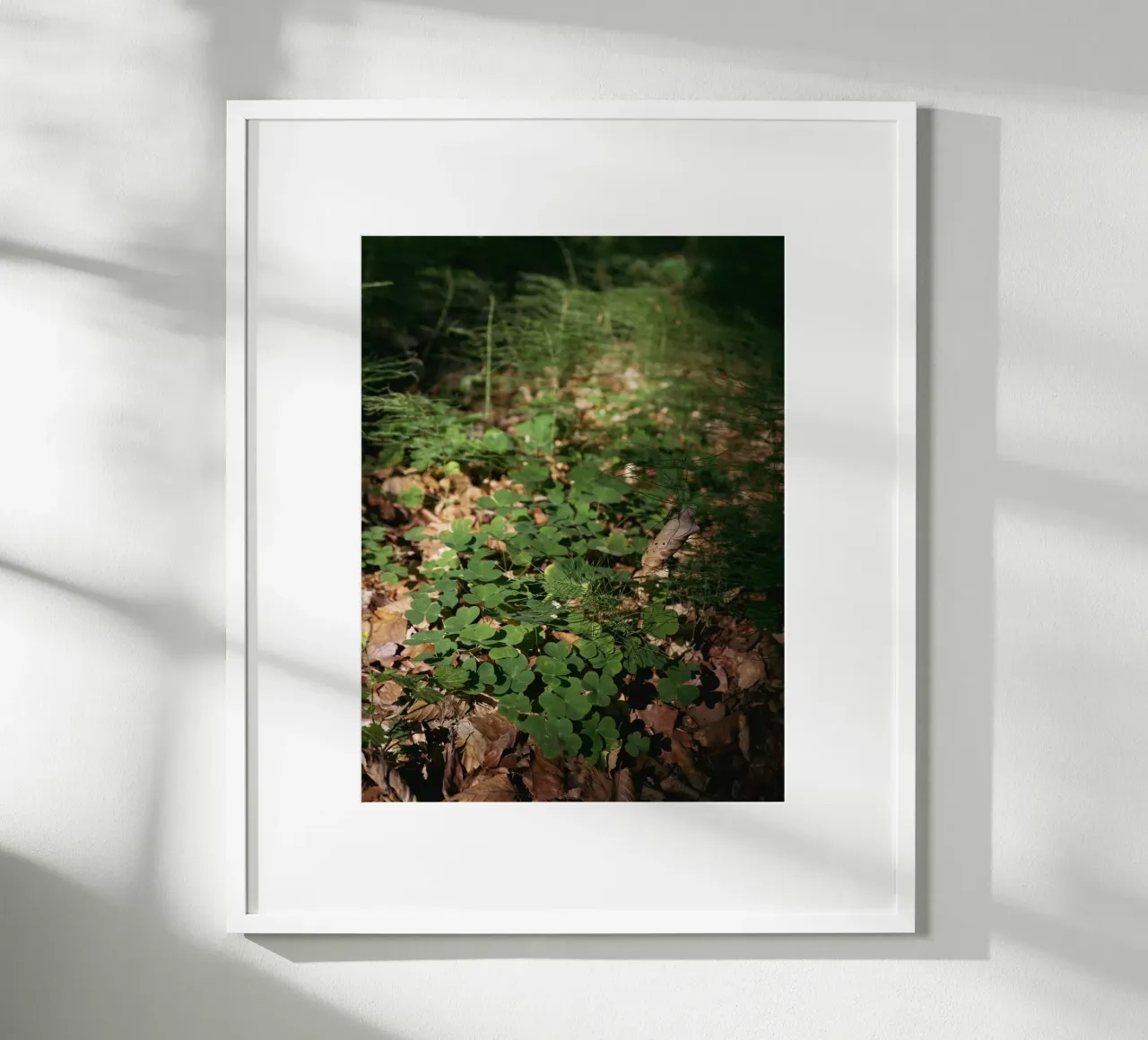 Fondo della foresta poster da Janine Sommer Fotografie