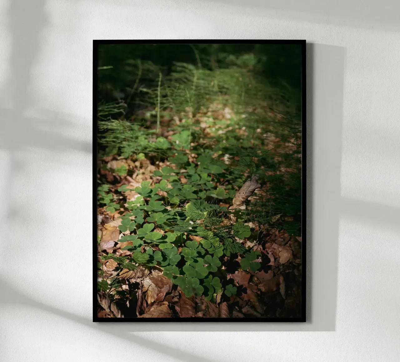 Fondo della foresta poster da Janine Sommer Fotografie