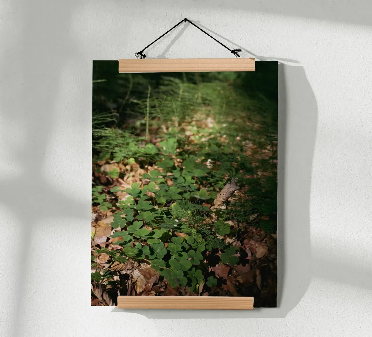 Fondo della foresta poster da Janine Sommer Fotografie