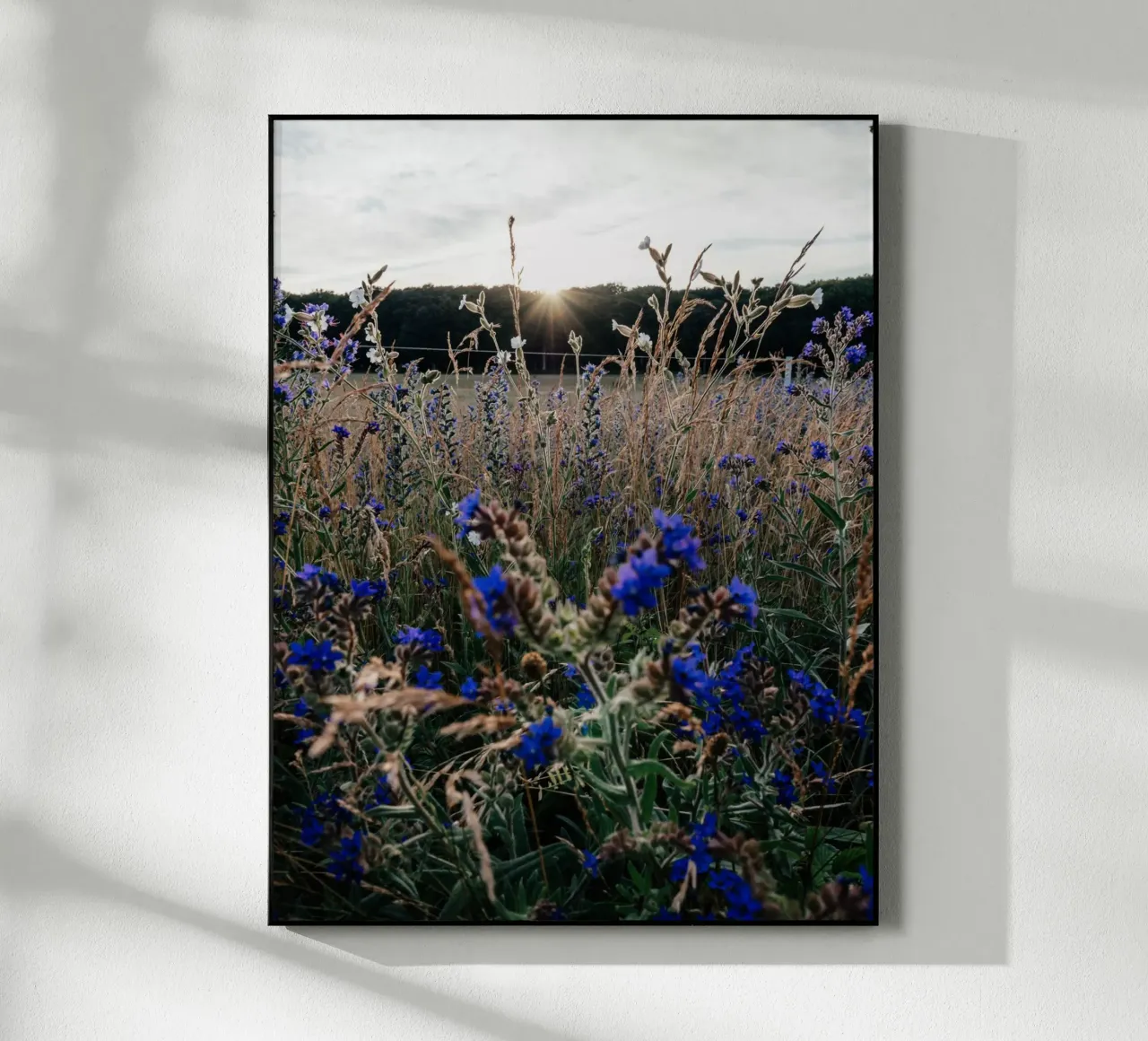 Abendspaziergang über das Feld plexiglass da Janine Sommer Fotografie
