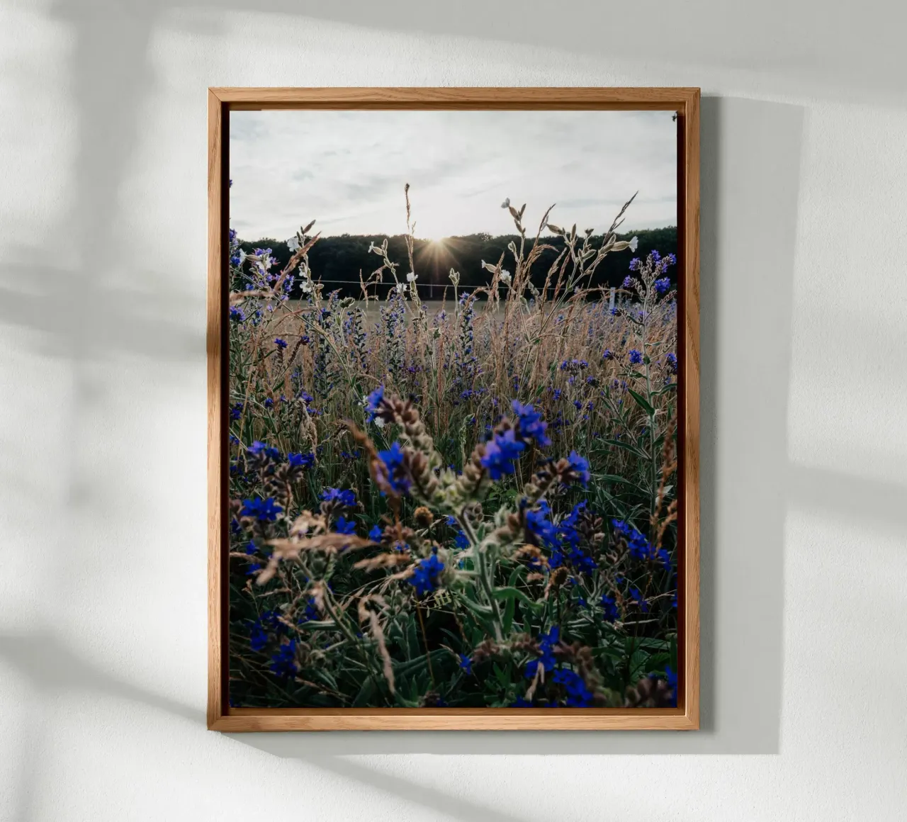 Abendspaziergang über das Feld alluminio dibond da Janine Sommer Fotografie
