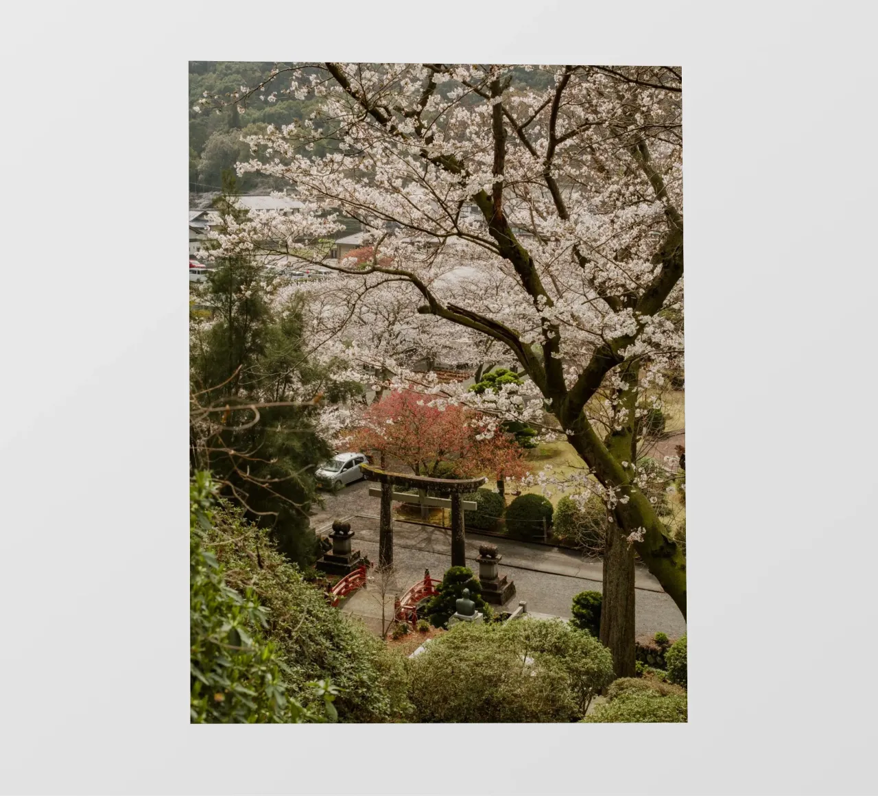 Porta Torii dei ciliegi in fiore telo in pvc da Marcel Bisig