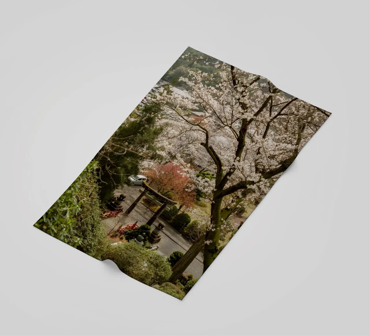 Porta Torii dei ciliegi in fiore telo mare da Marcel Bisig