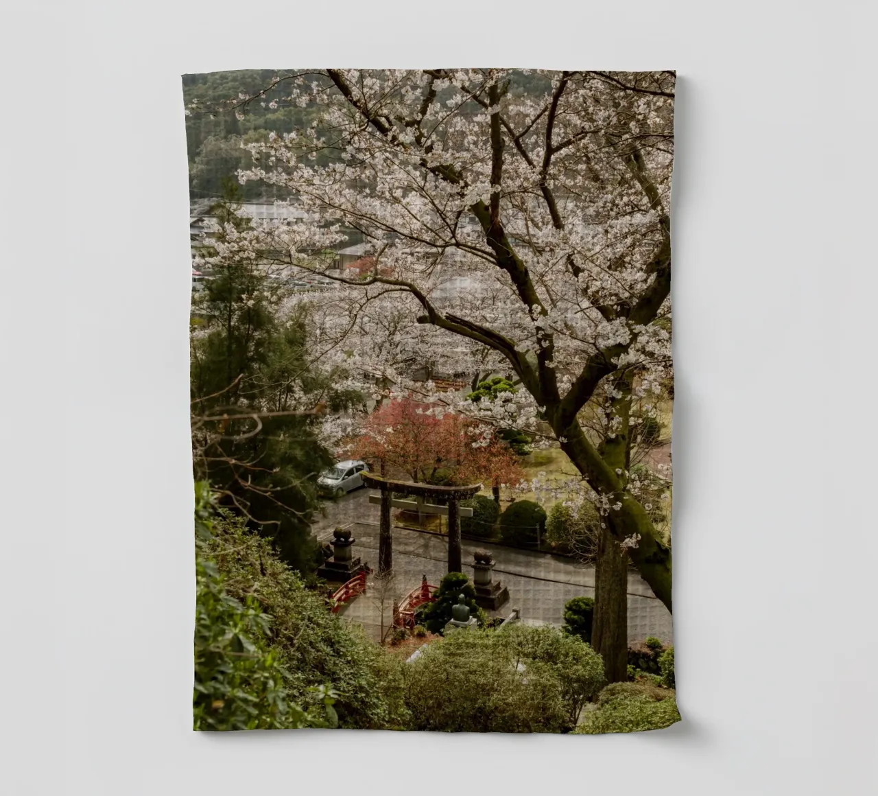 Porta Torii dei ciliegi in fiore canovaccio da cucina da Marcel Bisig