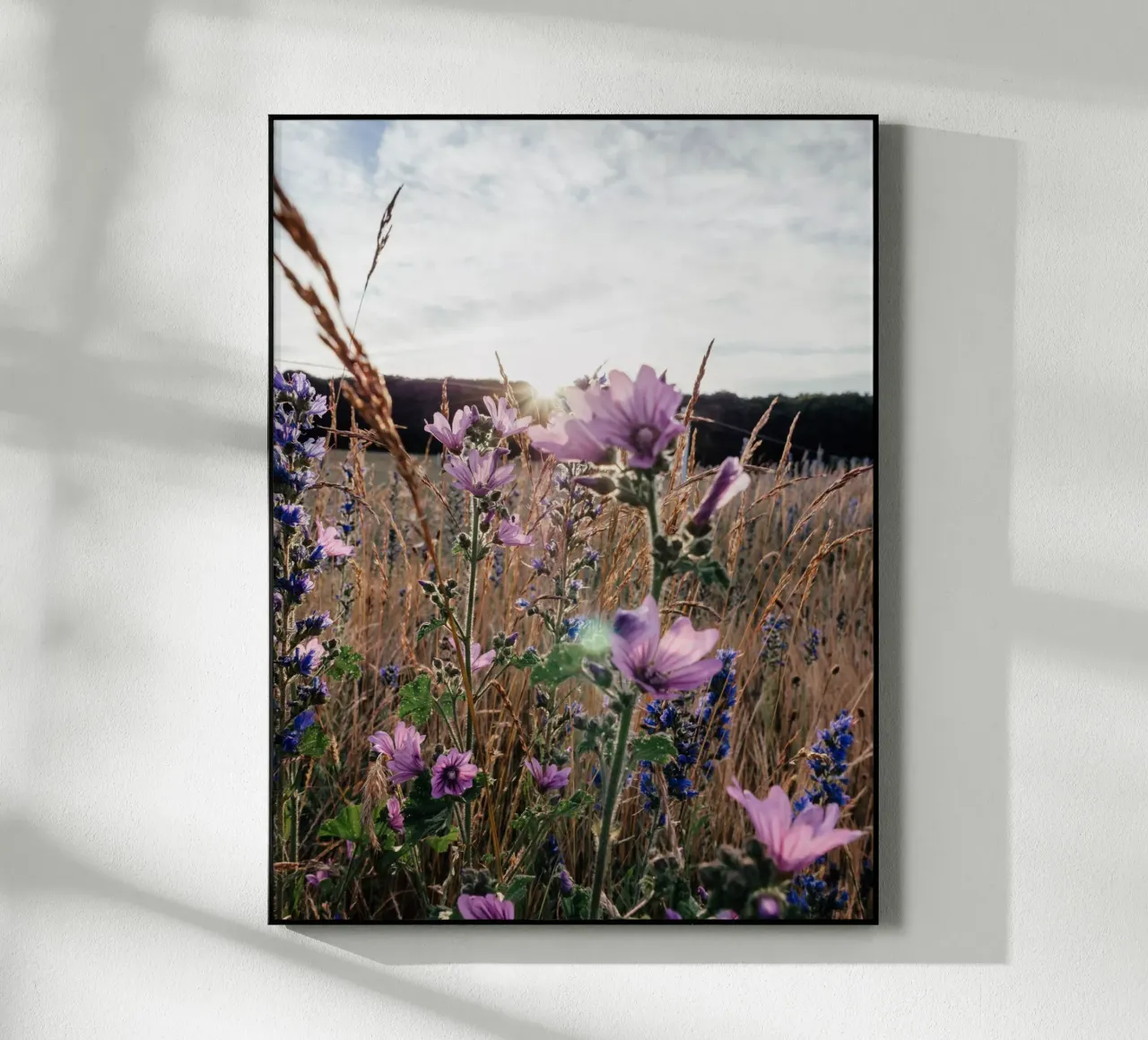 im Abendlicht plexiglass da Janine Sommer Fotografie