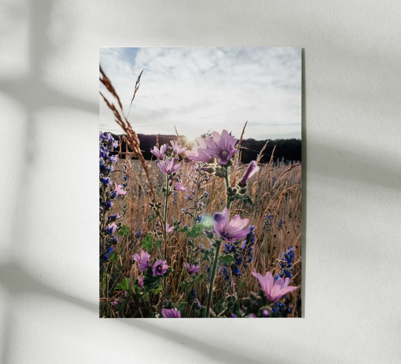 im Abendlicht plexiglass da Janine Sommer Fotografie