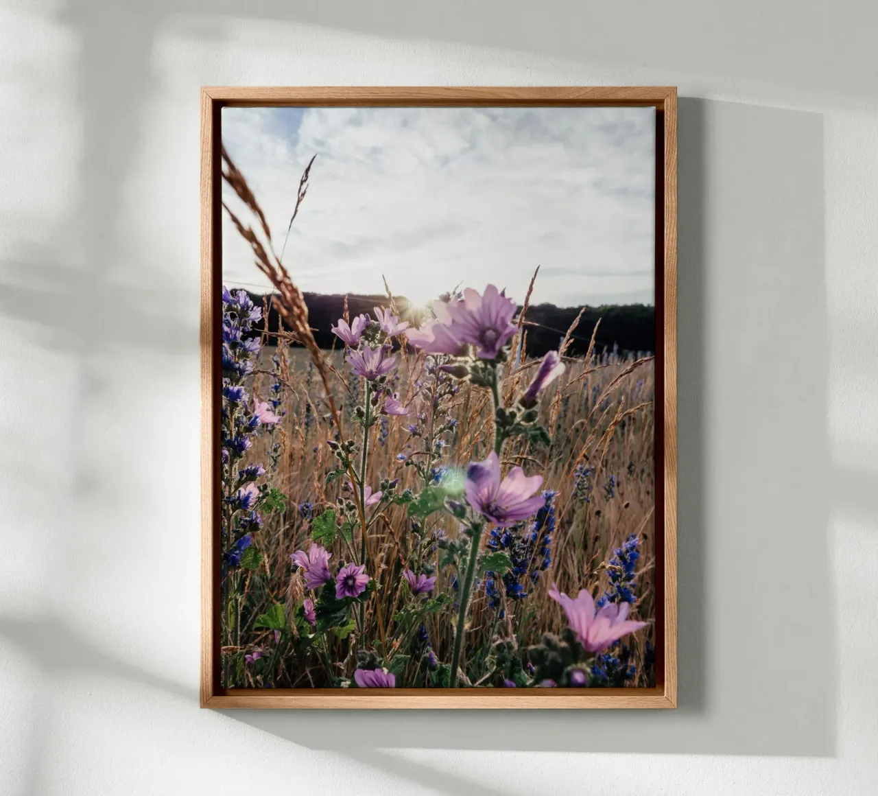 im Abendlicht tela con Cornice a cassetta da Janine Sommer Fotografie