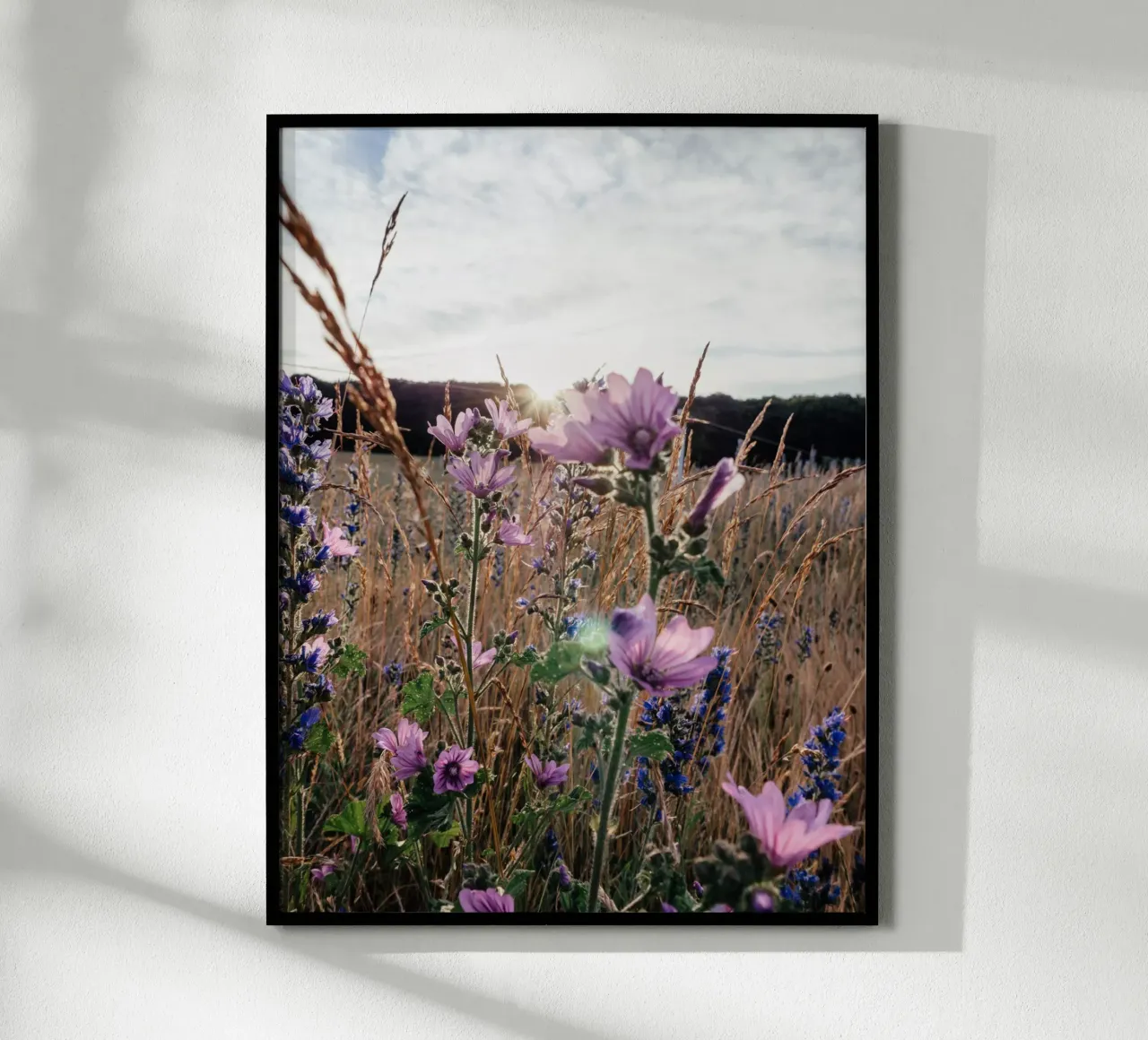 im Abendlicht carta hahnemühle da Janine Sommer Fotografie