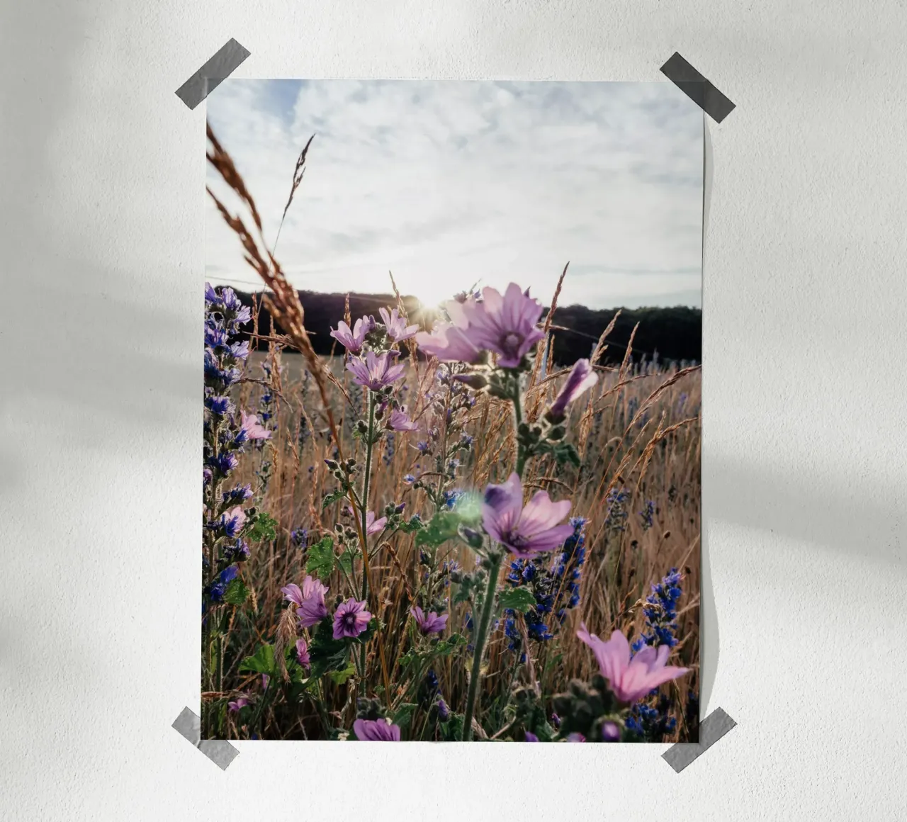im Abendlicht carta hahnemühle da Janine Sommer Fotografie