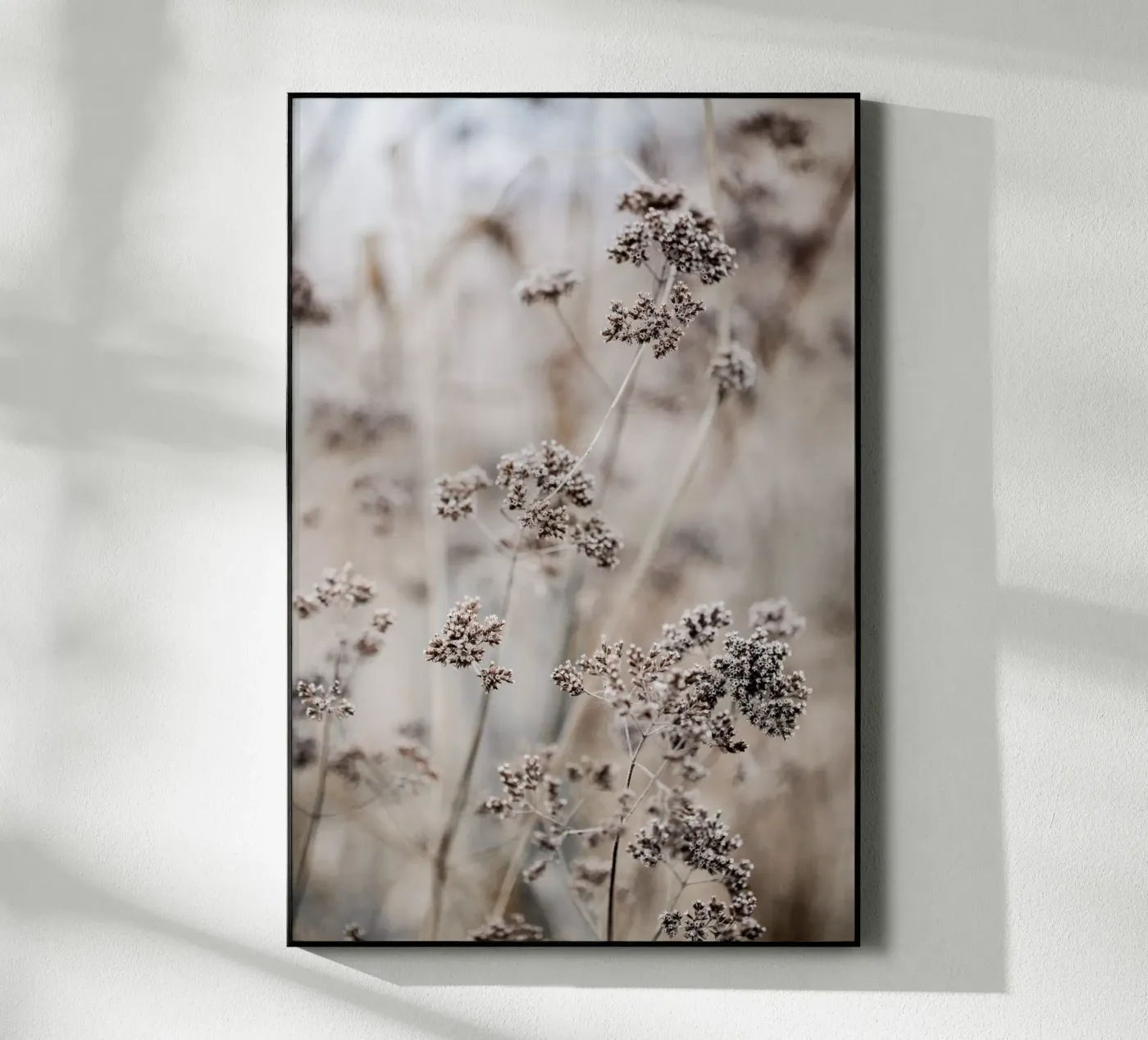 Unknown 8 plexiglas de Mareike Böhmer Photography