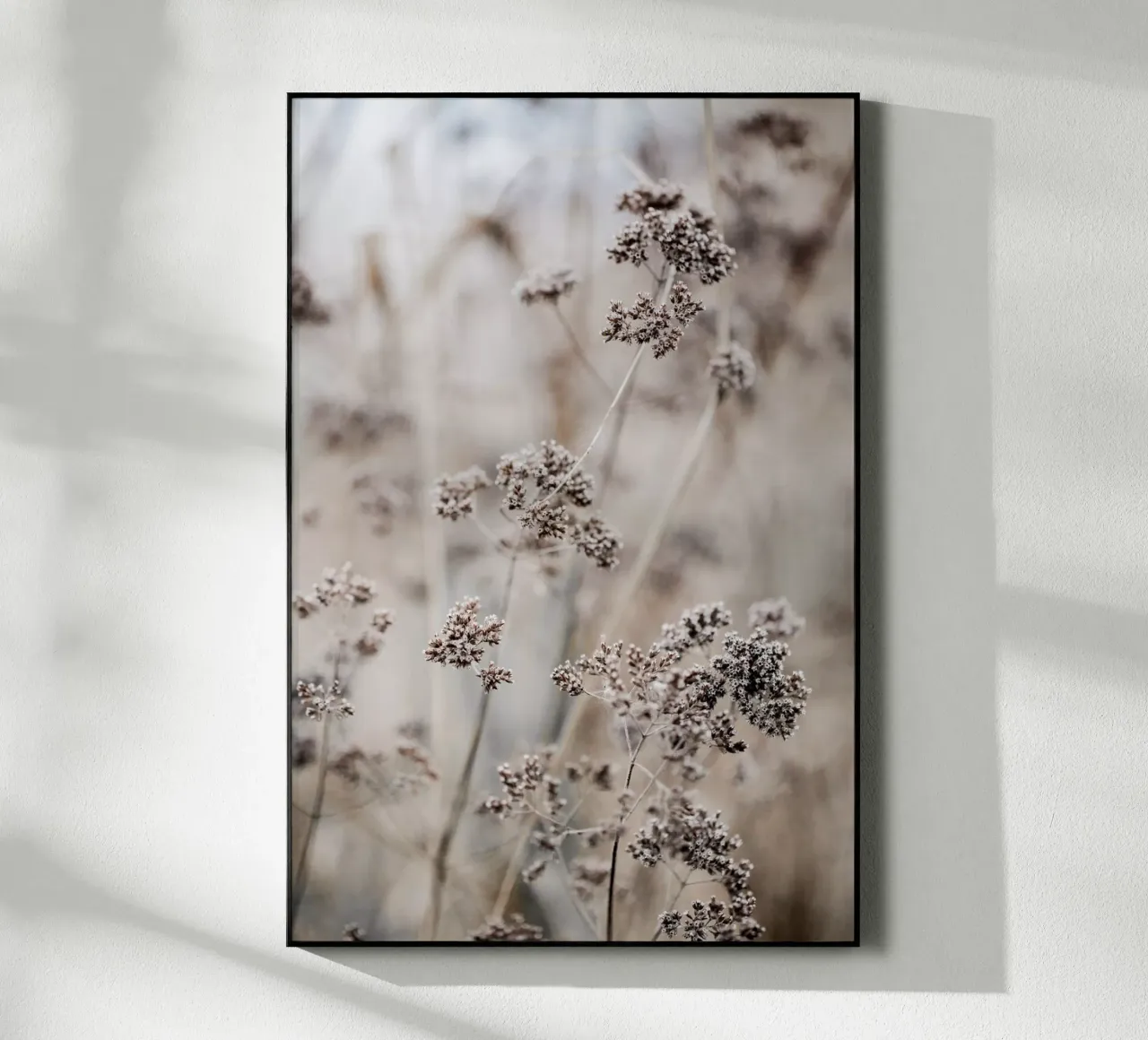 Unknown 8 plexiglass da Mareike Böhmer Photography