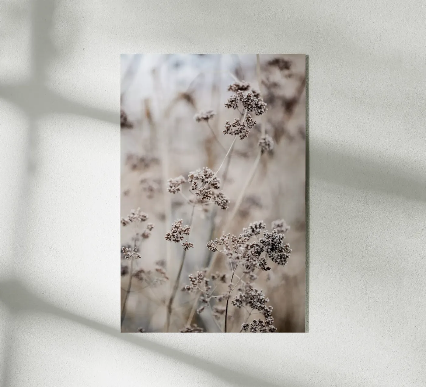 Unknown 8 plexiglas de Mareike Böhmer Photography