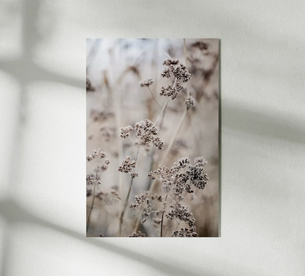 Unknown 8 plexiglass da Mareike Böhmer Photography