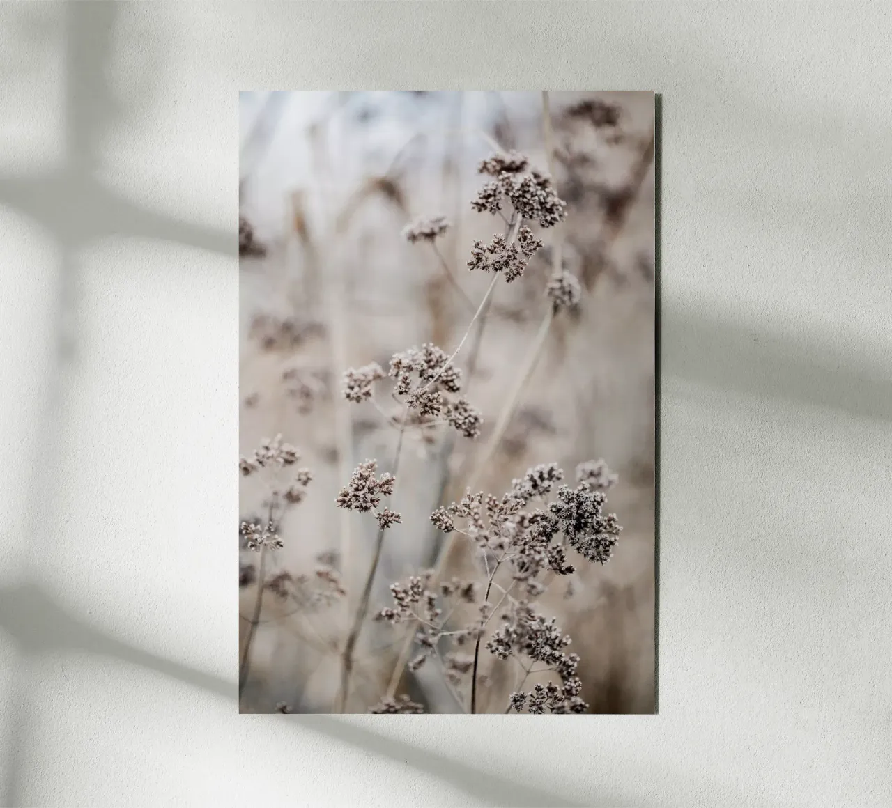 Unknown 8 forex plate by Mareike Böhmer Photography