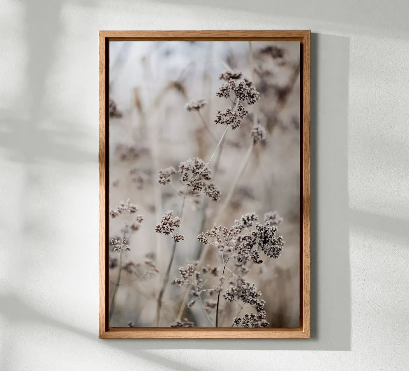 Unknown 8 canvas van Mareike Böhmer Photography