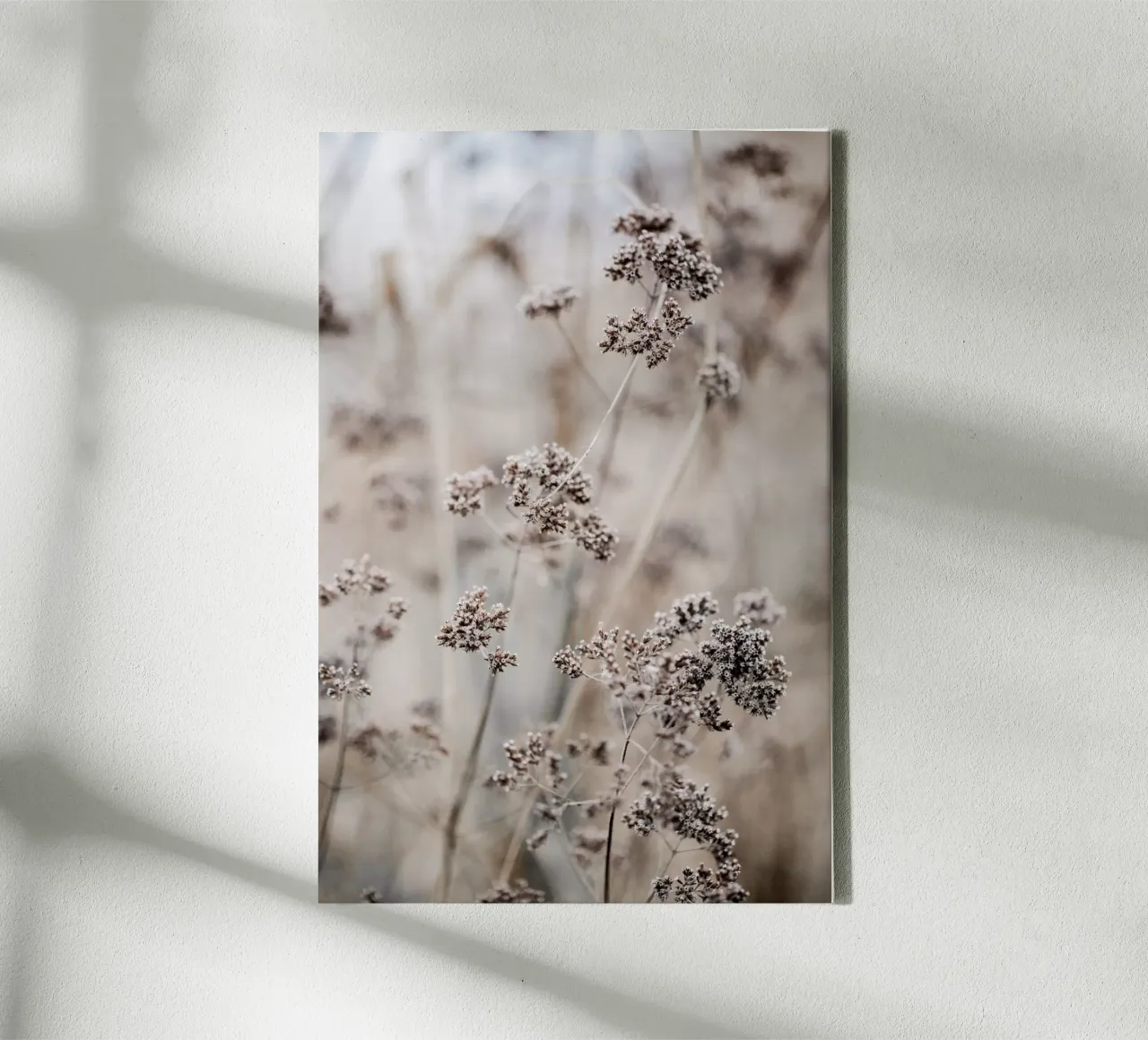 Unknown 8 Leinwand von Mareike Böhmer Photography