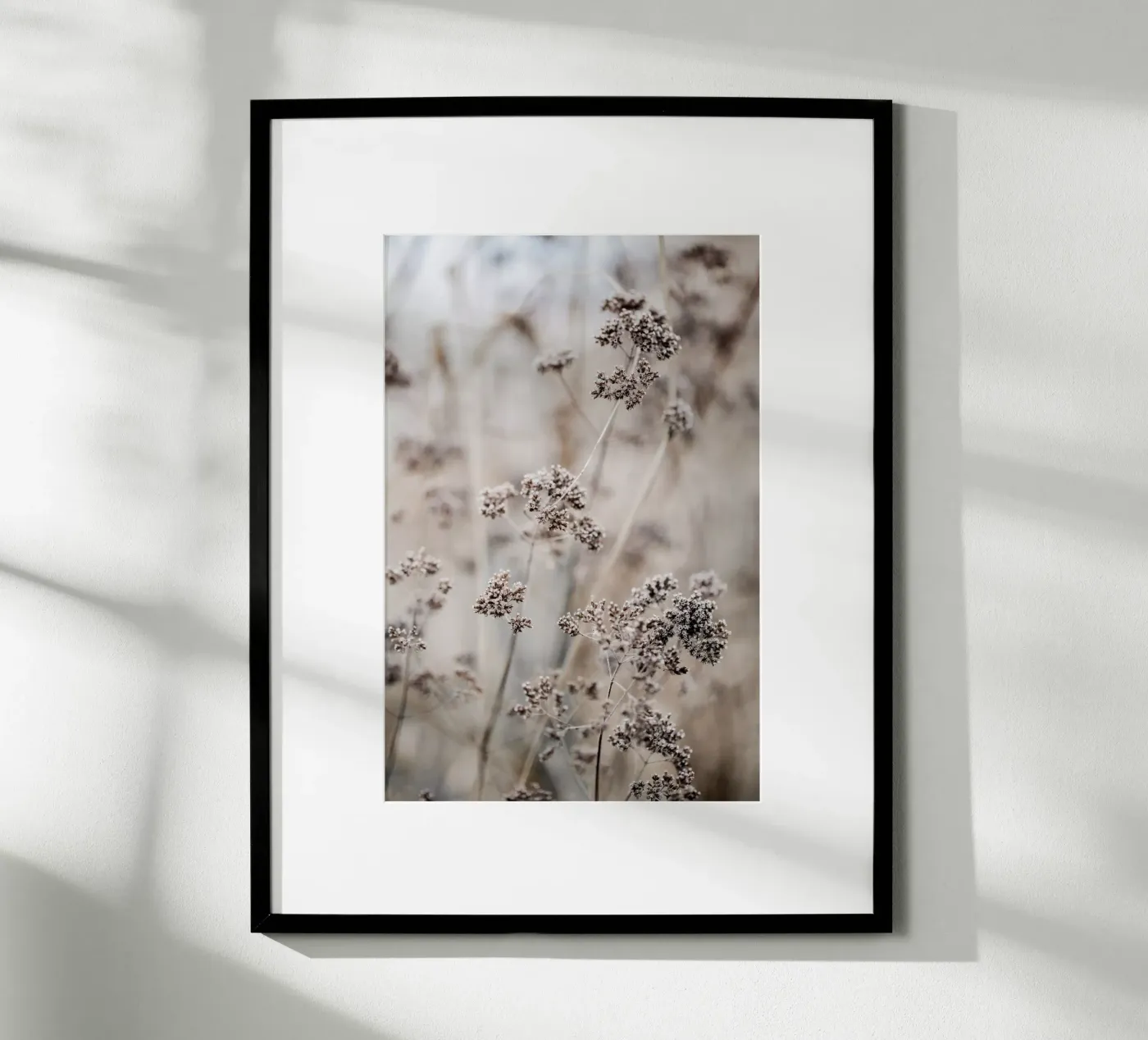 Unknown 8 poster by Mareike Böhmer Photography