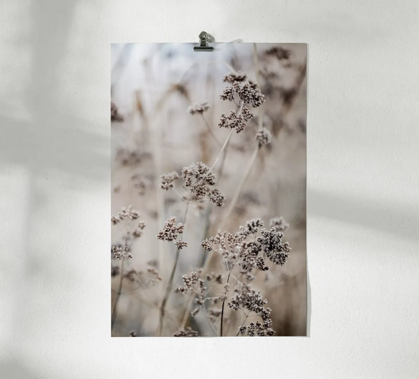 Unknown 8 poster by Mareike Böhmer Photography