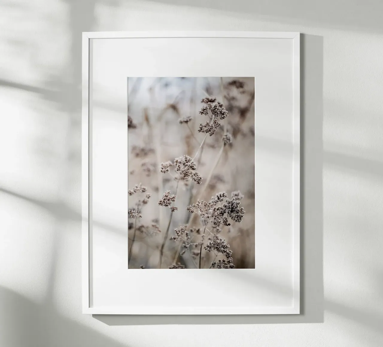 Unknown 8 hahnemühle de Mareike Böhmer Photography