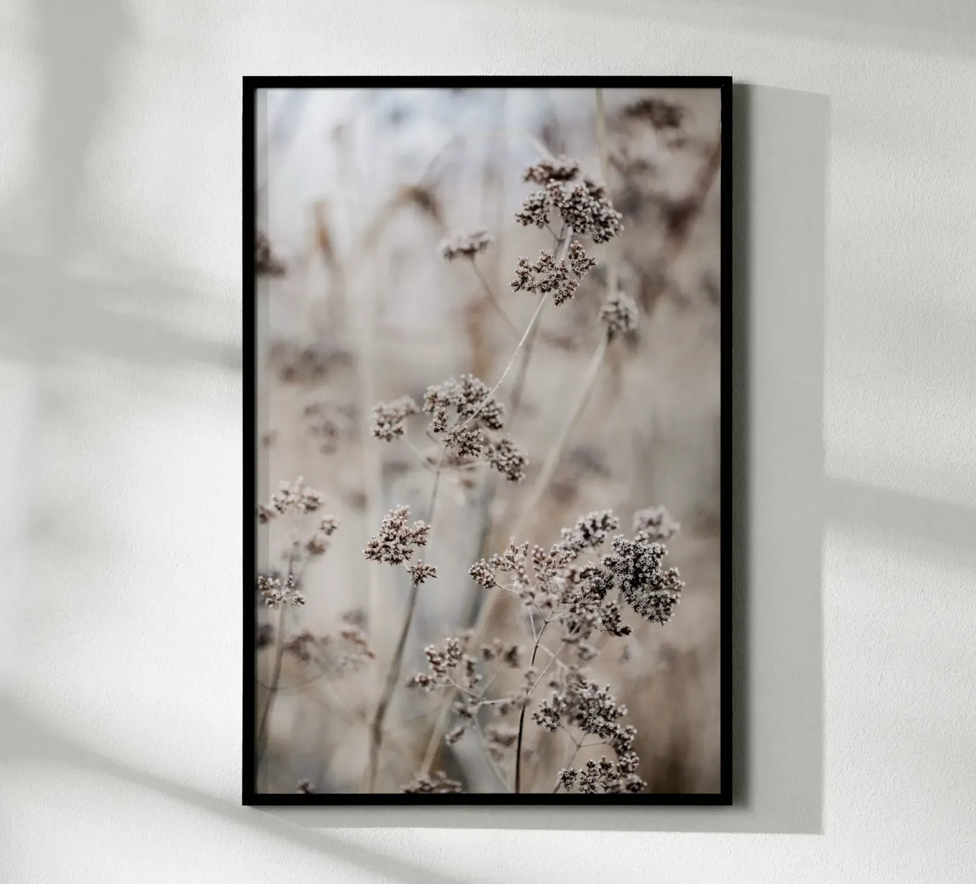 Unknown 8 poster by Mareike Böhmer Photography