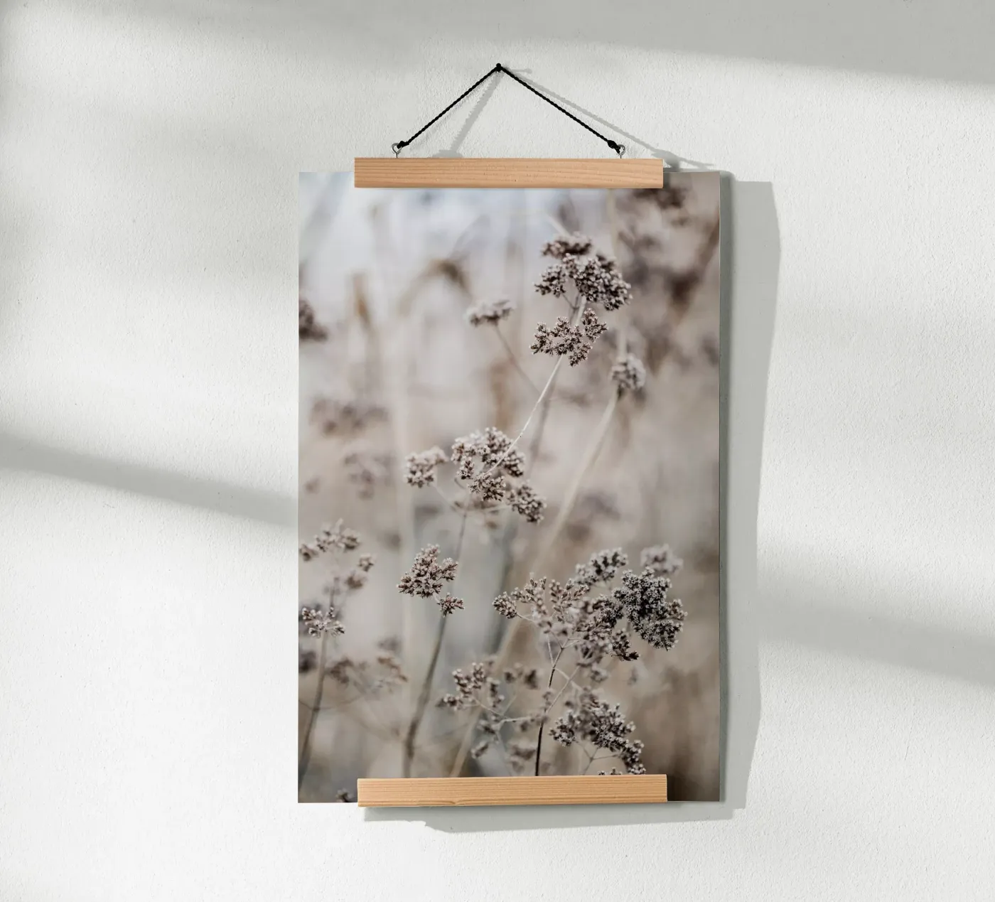 Unknown 8 Poster von Mareike Böhmer Photography