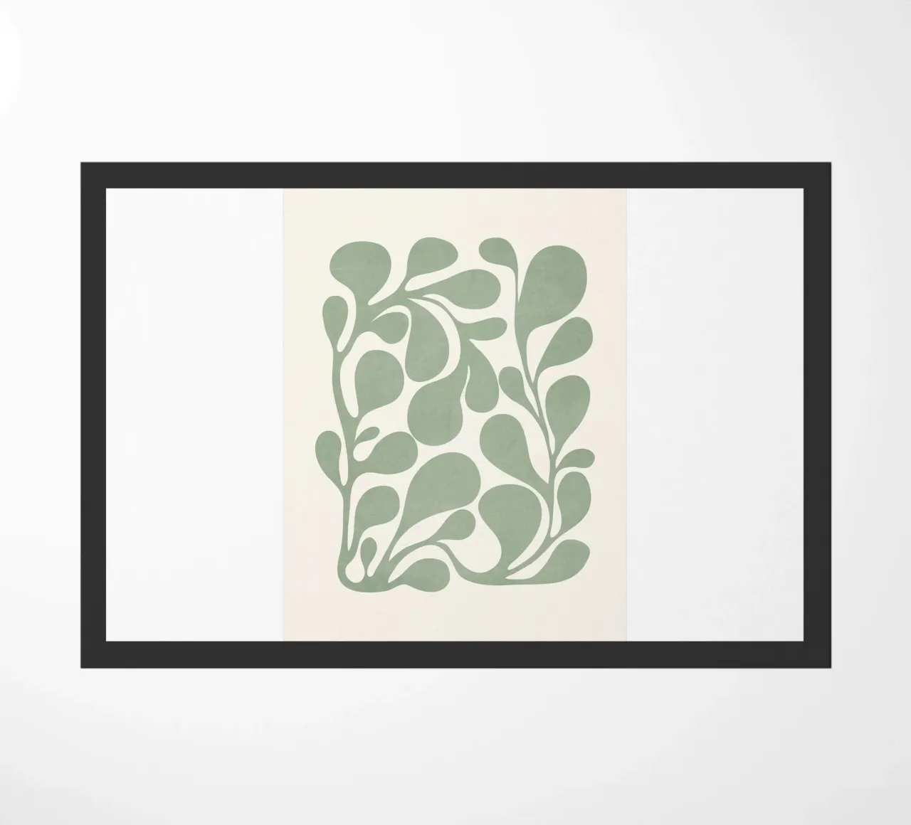 Pianta verde salvia zerbino da robertmotoiart