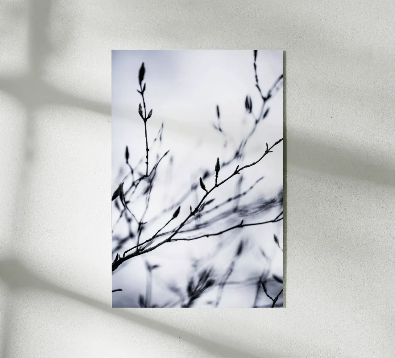 Winter Branches 2 plexiglass da Mareike Böhmer Photography