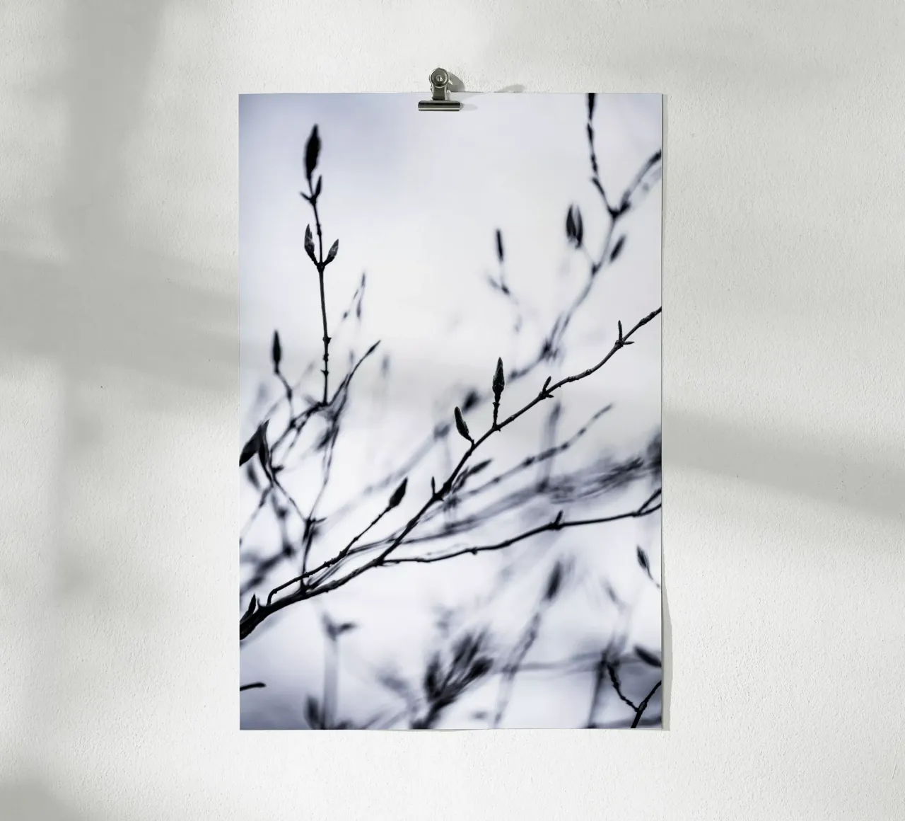 Winter Branches 2 poster da Mareike Böhmer Photography