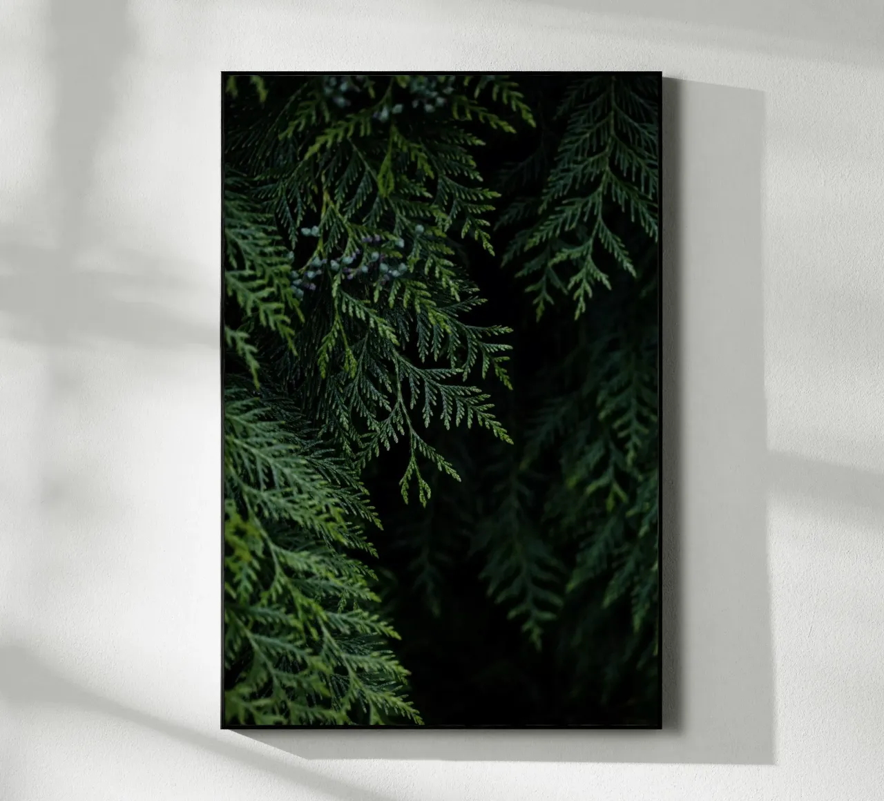 Winter Branches 3 plexiglass da Mareike Böhmer Photography