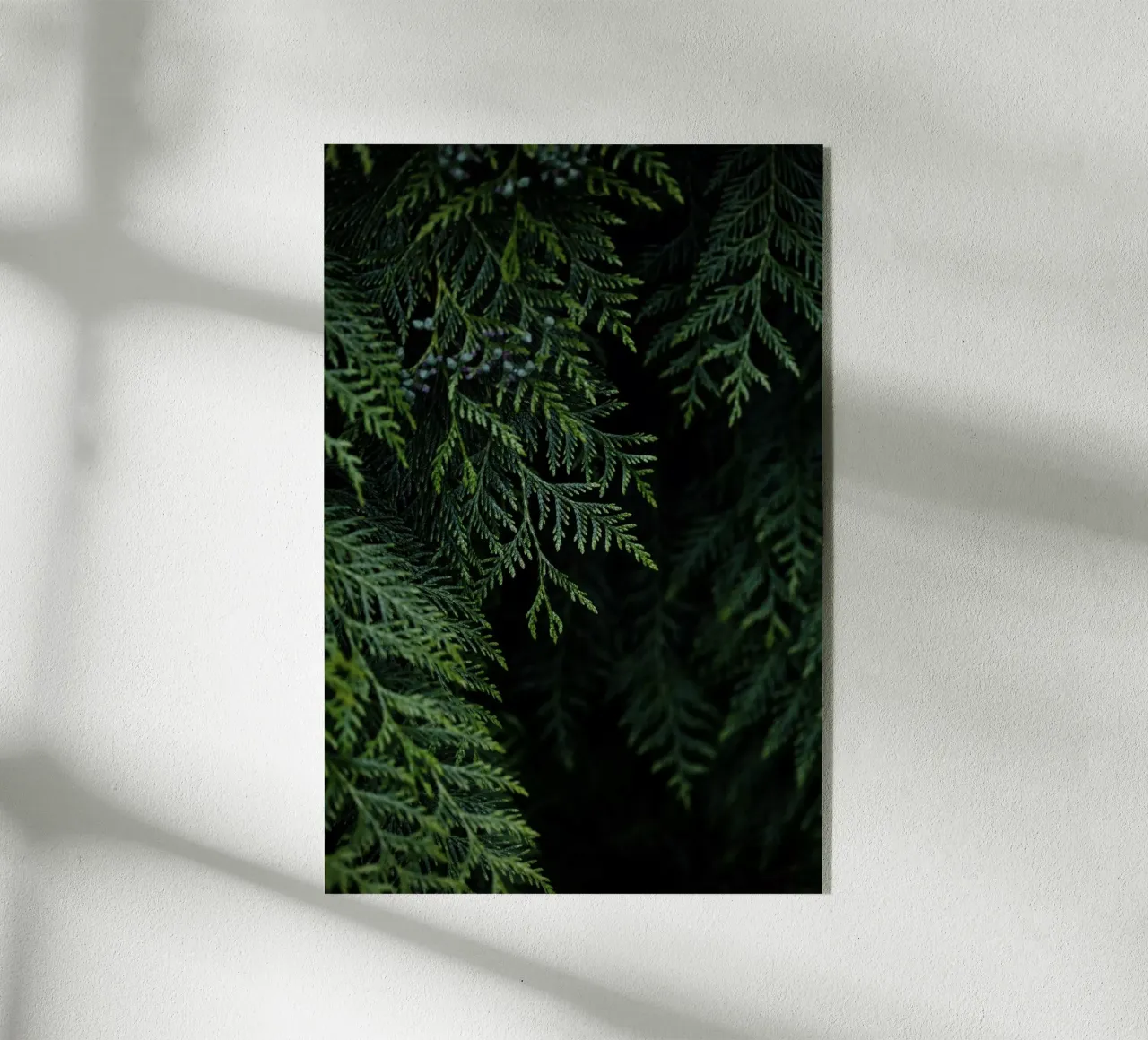 Winter Branches 3 plexiglass da Mareike Böhmer Photography