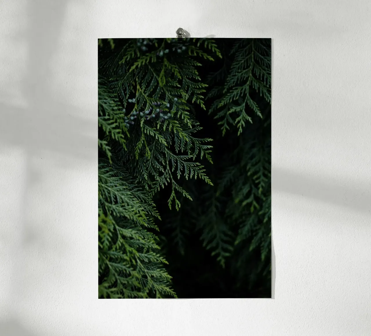 Winter Branches 3 poster con telaio in alluminio da Mareike Böhmer Photography