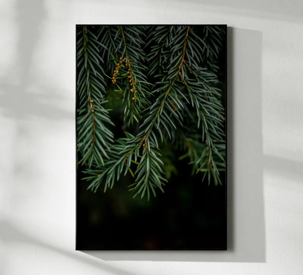 Winter Branches 7 plexiglass da Mareike Böhmer Photography