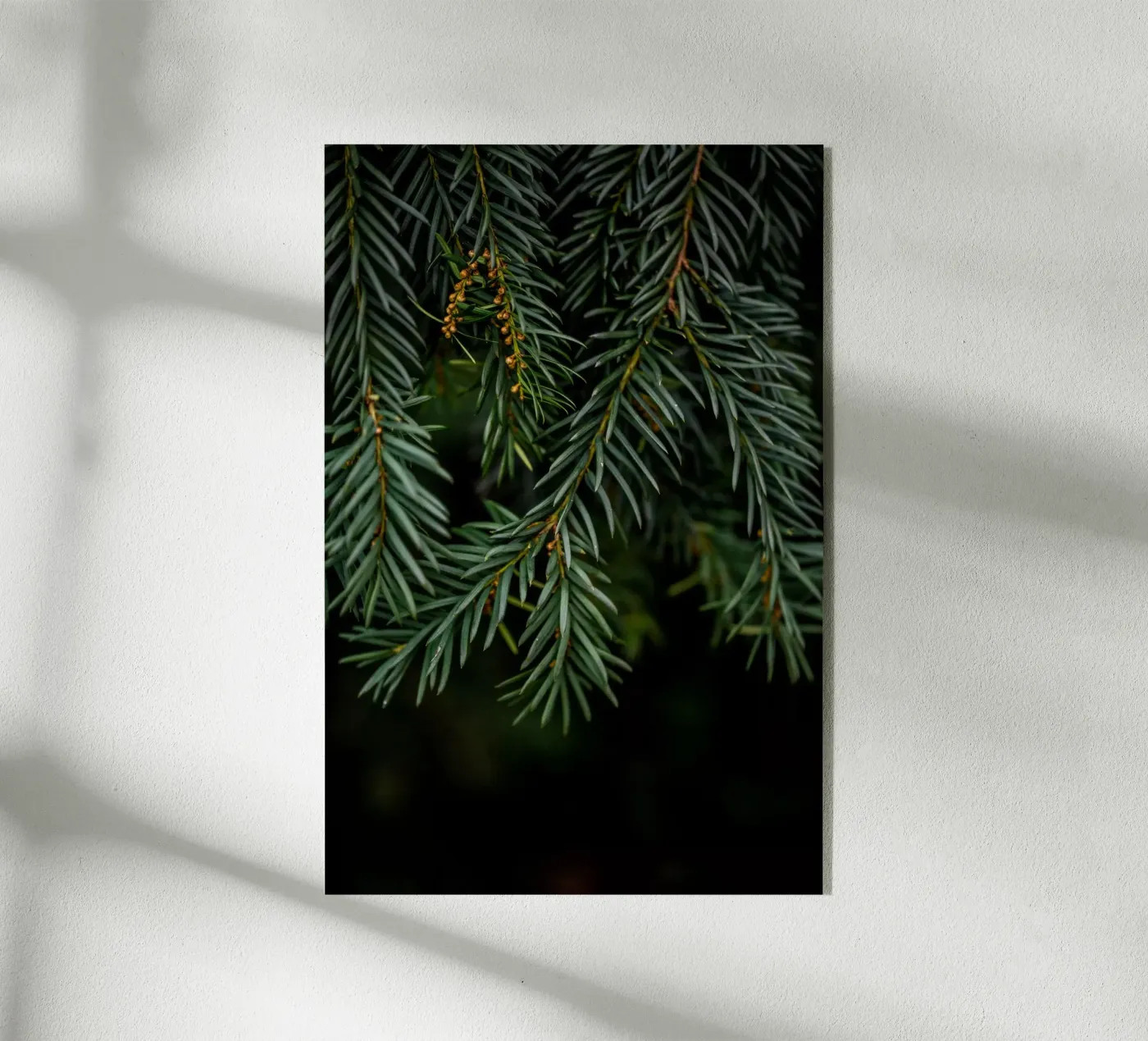 Winter Branches 7 plexiglas de Mareike Böhmer Photography