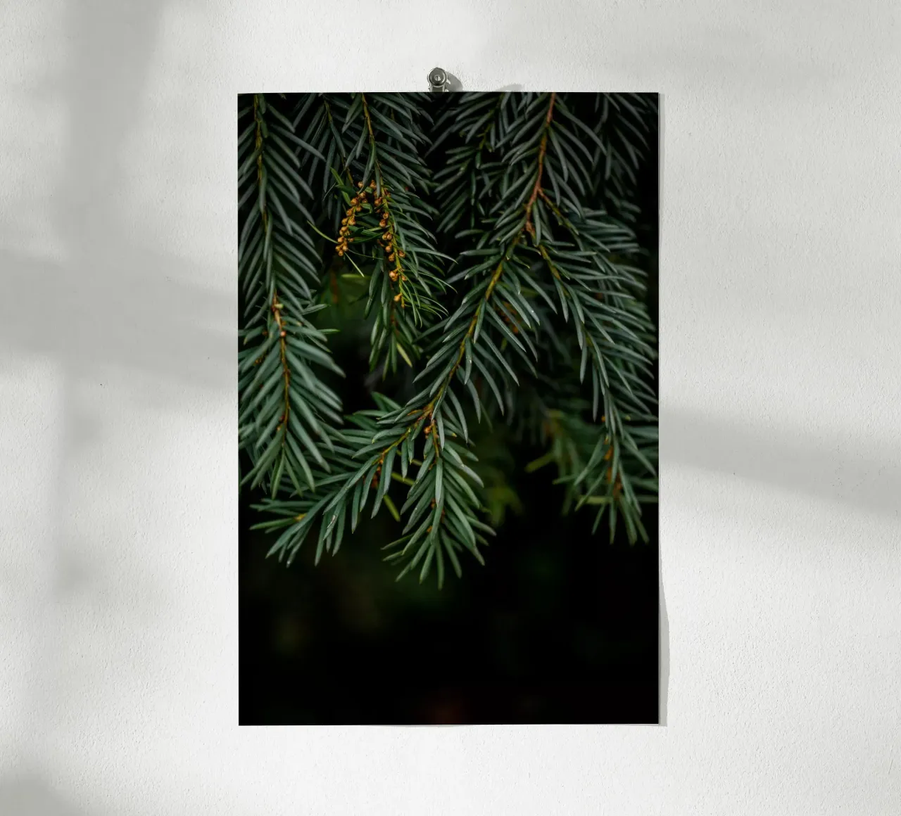 Winter Branches 7 poster da Mareike Böhmer Photography