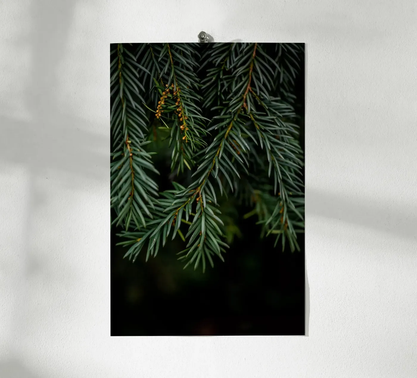 Winter Branches 7 poster da Mareike Böhmer Photography