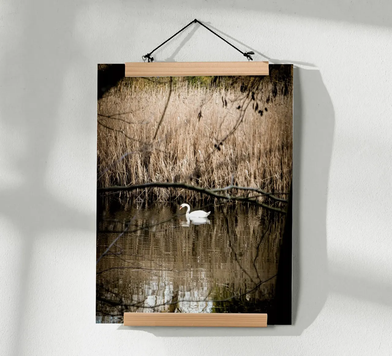 Cigno nel lago poster con telaio in legno da Janine Sommer Fotografie