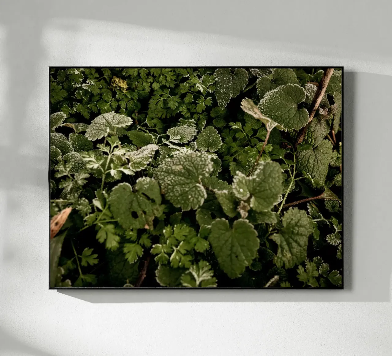 Pavimento invernale della foresta plexiglass da Janine Sommer Fotografie