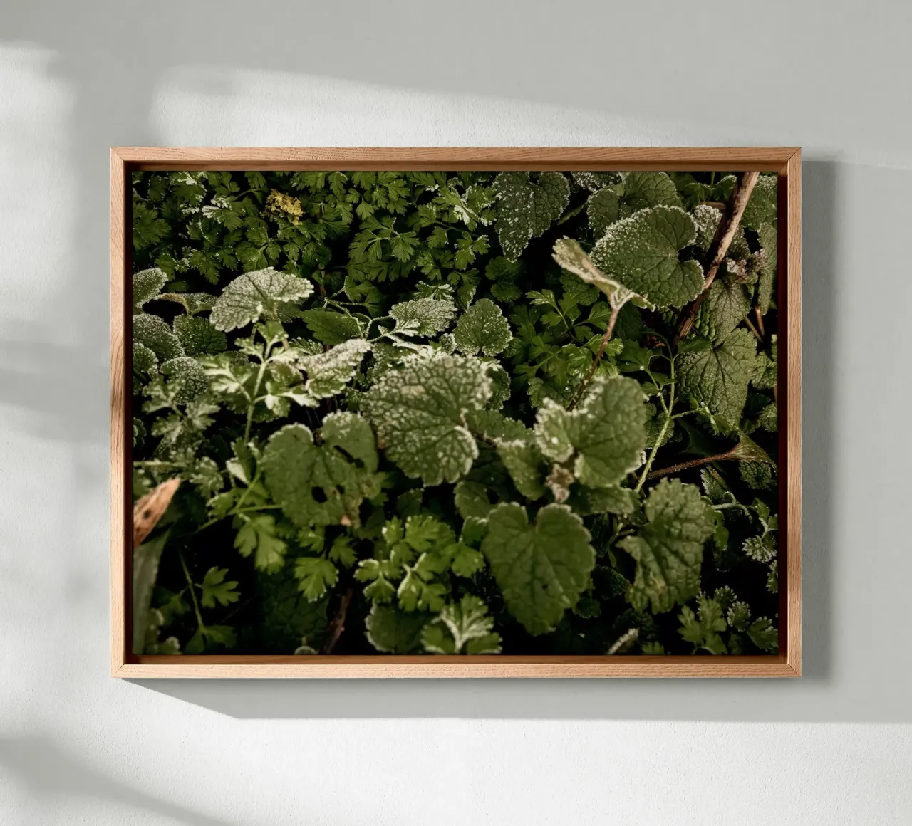 Pavimento invernale della foresta tela con Cornice a cassetta da Janine Sommer Fotografie