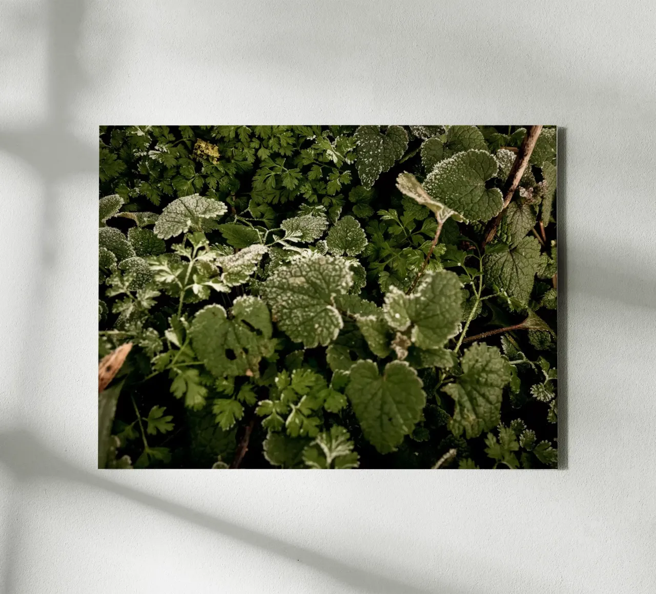 Pavimento invernale della foresta tela con Cornice a cassetta da Janine Sommer Fotografie