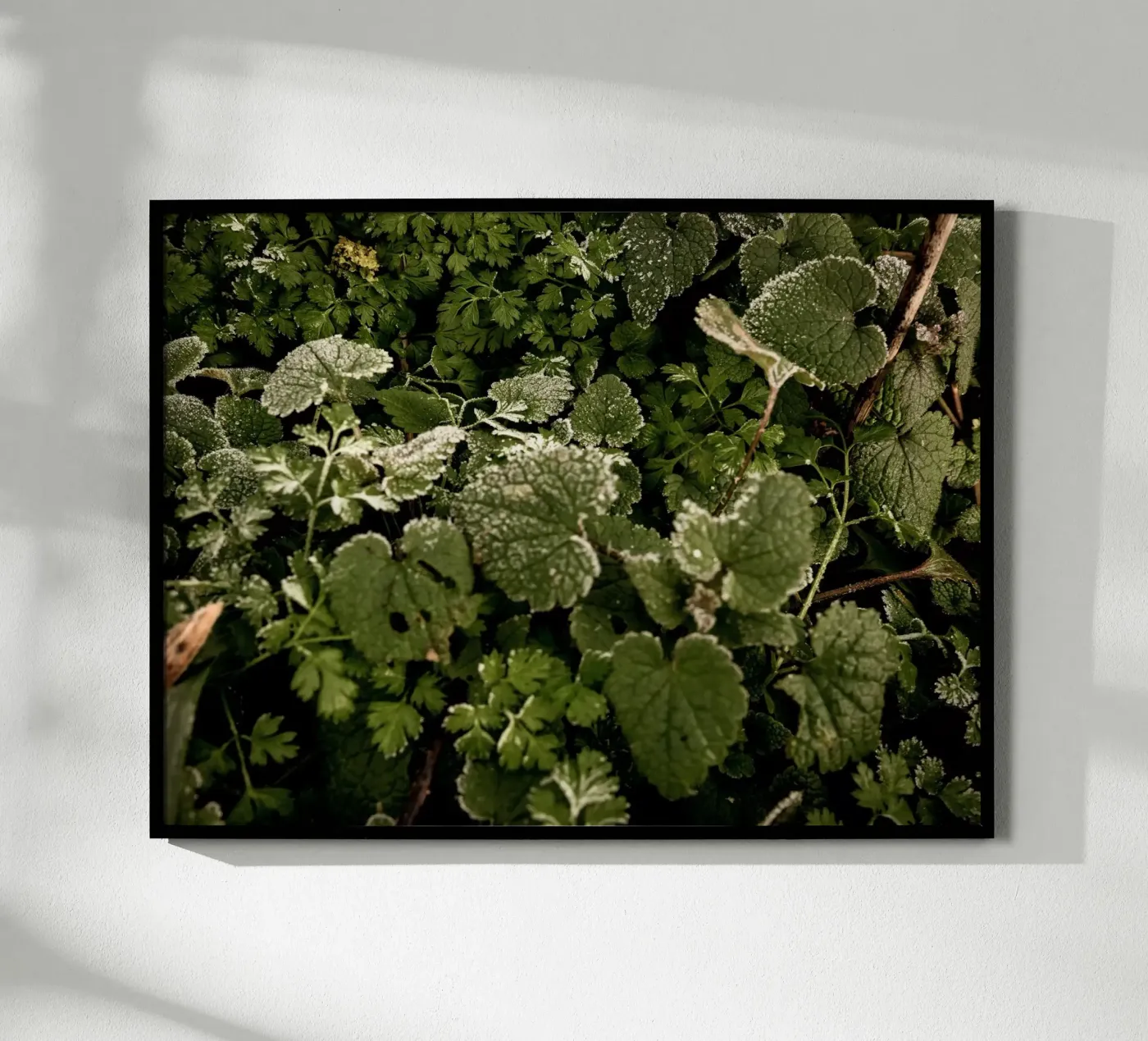 Winter bosbodem poster van Janine Sommer Fotografie